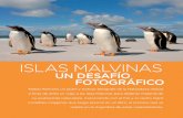 ISLAS MALVINAS - Argentina Ambientalargentinambiental.com/wp-content/uploads/pdf/AA44-62-Islas_Malvin... · necesita encontrar los mejores horarios de luz ... Con respecto a las autorizaciones