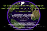 El EEES, la creación de grupos multidisciplinares y la ...webs.ucm.es/centros/cont/descargas/documento3925.pdfEl EEES, la creación de grupos multidisciplinares y la Cooperación