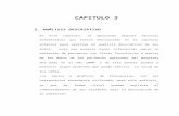 CAPITULO 3 - DSpace en ESPOL: Home · Web viewCAPITULO 3 3. Análisis DESCRIPTIVO En este capítulo, se aplicarán algunas técnicas estadísticas que fueron mencionadas en el capítulo
