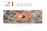 CAPÍTULO 21 de las plantas - Biología La vida en la tierralavidaenlatierra.weebly.com/uploads/1/7/5/2/17520789/plantas.pdfla energía solar y convierten parte de esa energía en