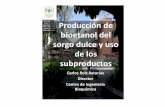 Producción de bioetanol del sorgo dulce y uso de los ...uvg.edu.gt/investigacion/resultados/11_Produccion_bioetanol_Ing... · Polifenoles mg/100g 0 1 2 3 4 5 6 7 PER 0.2 0.4 0.6