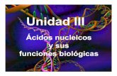 Unidad 3 Ac. nucleicos funciones biologicas€¦ ·  · 2012-11-20Watson y Crick (1953) propusieron el modelo de la doble hélice, ... Mitocondria. Cloroplasto ADN. Temperatura de