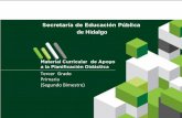 de Hidalgo - SEPH | Secretaría de educación Pública de ...sep.hidalgo.gob.mx/content/acerca/basica/d_pcct/docs/SUGERENCIAS...A lo largo de la educación primaria, los saberes de
