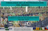 FISIOLOGIA DE LA REPRODUCCIÓN DEL MANGO · el contenido introducciÓn biologia floral la semilla la estructura del vivero la propagaciÓn y los tratos . culturales la restauraciÓn