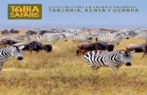 ESPECIALISTAS EN SAFARIS PRIVADOS: TANZANIA, … · Leones con sus presas, veloces cacerías de guepardos, ... evocadoras llanuras del Serengeti, con su gran concentración de fauna