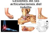 Lesiones de las articulaciones del tobillo… · PPT file · Web view · 2010-11-05Lesiones de las articulaciones del tobillo ¿Qué son las lesiones articulares? La tibia y el