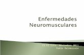 Enfermedades Neuromusculares - Discapacitados y … · PPT file · Web viewCS El Coto. Noviembre 2011 Pablo Belderrain Bibliografía Federación Española de Enfermedades Neuromusculares.