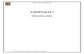 CAPÍTULO I - transparencia.tamaulipas.gob.mxtransparencia.tamaulipas.gob.mx/wp-content/uploads/2015/10/CACET... · El Capítulo V, Modelo de Asientos para el Registro Contable ...