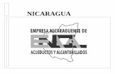 Nicaragua - ::::::::::::::: BVE - Biblioteca Virtual ENACALbiblioteca.enacal.com.ni/bibliotec/Libros/enacal/Acervo/...Dirección de la A través del cumplimiento de un programa Laboratorio