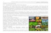 biologiavegetaluv.files.wordpress.com · Web view12 Biología Vegetal, Universidad Veracruzana, Otoño 2015. Fátima A. Rasgado Bonilla UNIDAD 1. LOS VEGETALES
