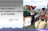 Panorama de la Agricultura en ALC - Welcome to the … de la Agricultura en América Latina rica Latina y el Caribe Presentación en Reunión de Ministros del Consejo Agropecuario