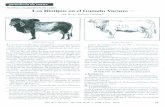 Genetica en ganaderia de carne Los Biotipos en el Ganado ...repebis.upch.edu.pe/articulos/rev.cienc.veter/v24n3/a5.pdf · ganaderia de came, ... cursos y el biotipo para el arnbiente