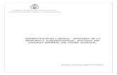 SINIESTRALIDAD LABORAL: ANÁLISIS DE LA …€¦ ·  · 2015-01-24Servicio de Planificación y Análisis de la Actividad Judicial ... LABORALES Cuadernos de Derecho Judici al XV