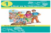 ¿Qué es la Hidroponía? - …escuelasrufinistas.wikispaces.com/file/view/1t_guia_hidroponia.pdf/...Es una técnica de producción agrícola en la que se cultiva sin suelo y donde