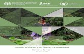 Colaboración para fortalecer la resiliencia Estudio de … (ENSMI, 2008/2009). Según el Ministerio de Agricultura, Ganadería y Alimentación (MAGA) el área del país que tiene