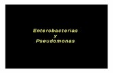 Enterobacterias y Pseudomonas - …amyd.quimica.unam.mx/pluginfile.php/1368/mod_resource/content/1/...... (las personas liberan µos -en heces y orina- durante tiempos ... acerca de
