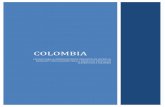 COLOMBIA - Exportaciones Peruanas | SIICEX · Es en este escenario que surge la propuesta de entregar a los exportadores peruanos la ... una ventanilla única para las importaciones