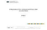 PROJECTE EDUCATIU DE CENTRE PEC - Institut La … · 8.1 Principis d’inclusió i coeducació ... El volum d’aquest centre el curs 2014-15 és de 117 ... modalitats de Ciències