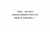 “EL AJO, ANTIBIÓTICO NATURAL” - Idea Sanaideasana.fundacioneroski.es/web/es/13/escuela_1/escuela1_ajo.pdf · Probablemente no existe planta medicinal más conocida y estudiada