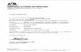 UNNEMDAD AüTONOMA METROPOUTANA148.206.53.84/tesiuami/UAM21483.pdf ·  · 2004-04-19comercialización del aguacate en estado fresco para mercado nacional y su exportación" ... 6.0