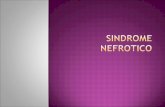 SINDROME NEFROTICO - Seccionseis’s Weblog€¦ · PPT file · Web view · 2009-01-30el sedimento urinario en este sx es menos rico que en el nefritico por la caida de la fg. ...