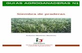 GUIAS AGROGANADERAS N1 - serida.org · espontánea y preparación de una buena cama de siembra de forma que garantice un suministro suficiente de humedad, ...