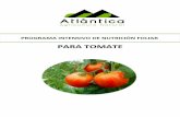 Programa de Tomate - Bienvenidos a Atlántica Agrícola ...€¦ · programa de manejo fitosanitario para cultivo de tomate semana ddt mimoten tagelis cinnalys zytron quamar zicara