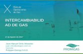 INTERCAMBIABILID AD DE GAS - Promigas Inicio de la Primera Familia (manufacturados) Gases de la Segunda Familia (gas natural) Gases de la Tercera Familia (gases licuados - GLP) Los