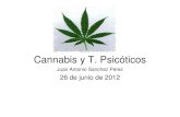Cannabis y T. Psicóticos - dipucadiz.es€¦ · La relaci ón entre el consumo de cannabis y la psicosis est á descrita desde ... (comportamiento violento o absurdo ... el consumo