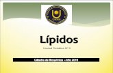 Lípidosecaths1.s3.amazonaws.com/catbioquimicavet/1381443731.lipidos... · Lípidos del griego lipos: “grasa” Sustancias muy diversas (estructura y función) Solubles en disolventes