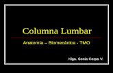 Columna Lumbar - Kinex I- UST.pdf · parte posterolateral y superior ... manipulación de la columna ... a sinovitis facetaria, mala postura, alteraciones