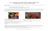 EL COLOR I LA TEXTURA COM A RECURS COMPOSITIU …mjuvant2/color/color_textura_pintura.pdf · com l'equilibri, ordre i harmonia a través de la plasticitat dels colors i la geometria.