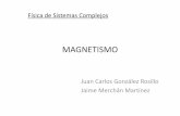 Gonzalez JuanCarlos Merchan Jaime Magnetismo.ppt … · Con N: número de posiciones en la cadena ... cubo simple. Cambio de variable Integración en polares Contribución magnónica
