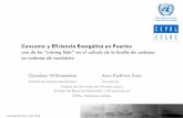 Consumo y Eficiencia Energética en Puertos - cepal.org · y el Calculo de la Huella de Carbono . 0 . 2.000 . 4 ... Aumento del consumo energético en los puertos de la región Eficiencia