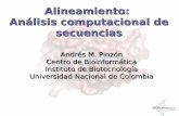 Alineamiento: Análisis computacional de secuenciasbioinf.ibun.unal.edu.co/cbib/estudiantes/1-07/alineamiento.pdf ·  Entrada Matriz Zoom T a m a