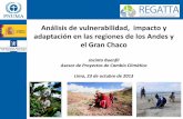 Resultados del análisis de vulnerabilidad en las regiones ... · Climático en América Latina y el Caribe 1. ... margen occidental del sur de la región Andina ... restauración