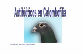 Guillermo Barrallo Fernández - Canarias Racing Pigeon ·  · 2016-11-06Es la forma en la Se puede realizar a través de varias ... Cristaluria IRC • Betalactamicos: Poca absorción