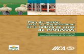 plan arroz Panamá - Ministerio de Desarrollo Agropecuario de … · a través del “Plan Panamá Manos a la Obra: 2004-2009”. Para el caso del arroz, además, programó la elaboración