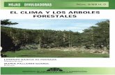 EL CLIMA Y LOS ARBOLES FORESTALES · 2006-10-25 · rístico en el genuino paisaje español; también existe en Baleares y falta en Canarias. ... también la hierba. Es curioso que