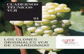 CUADERNOS TÉCNICOS VCR 01 - vivairauscedo.com · presentan un perfil sensorial diferente entre ellos, en particular en el R 8 resaltan las notas cítricas y vegetales. Además de