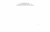 Capítulo 2: Contaminación y recuperación de suelosdigital.csic.es/bitstream/10261/37616/1/Efecto de la adición de...de suelos pertenecientes al polígono industrial de Huelva y