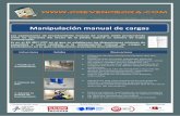 Manipulación manual de cargas - UGT-FICA - Iniciomcaugt.org/documentos/0/doc9990.pdf · seguridad y salud relativas a la manipulación manual de cargas y ... supone el manejo de