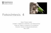 Fotosíntesis 4 - Profe ConCiencia - Blogprofegab.weebly.com/uploads/2/7/2/4/27245343/fotosntesis...Nivel: Primero medio Unidad 2. Organismo ambiente y sus interacciones: Flujos de