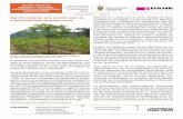 Diciembre 2012 • Núm. 6 Agroforestería: una opción para …n mensual INSUMOS Y FACTORES ASOCIADOS A LA PRODUCCIÓN AGROPECUARIA 3 En Colombia, la Corporación Colombiana de Investi-gación
