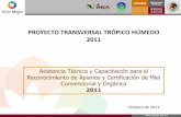 PROYECTO TRANSVERSAL TRÓPICO HÚMEDO 2011 de atención: Estado Campeche Quintana Roo Yucatán Atención directa Indirectos Productores 4,620 1,846 5,534 12,000 10,800 Colmenas 92,320