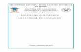 ESTUDIO MAPA DE PELIGROS DE LA CIUDAD DE …repo.floodalliance.net/jspui/bitstream/44111/1633/1/candarave_mp.pdf · 1.2.0 DENSIDAD IN SITU NORMA ASTM D-1556-00 ... 1.3.0 GRANULOMETRIA