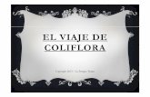 EL VIAJE DE COLIFLORA - laintegrateatro.com INFANTIL - El viaje de Coliflora... · Con nuestro Cuenta-cuentos con marionetas « El viaje de Coliflora» buscamos promover y difundir