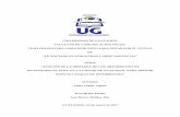 CARÁTULA - Repositorio Universidad de Guayaquil: Página ...repositorio.ug.edu.ec/bitstream/redug/18624/1/plastificar tesis.pdf · Modelo de Negocio TENA .....69. xiv ÍNDICE DE