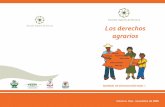 Los derechos agrarios - tequiojuridico.orgtequiojuridico.org/tequiojuridico/2013/02/Folleto-Derechos... · El presente folleto denominado “Derechos ... reflexión en torno a los
