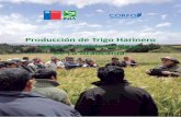 Producción de Trigo Harinero para el Borde Costero de La …biblioteca.inia.cl/medios/biblioteca/boletines/NR39297.pdf · 2017-06-22 · Prohibida la reproducción parcial o total